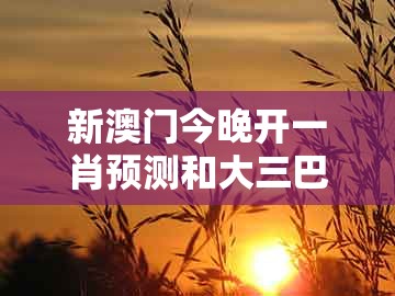 新澳门今晚开一肖预测和大三巴一肖一码一特怎么看走势-小心虚假鼓吹,战略释义、解释与落实