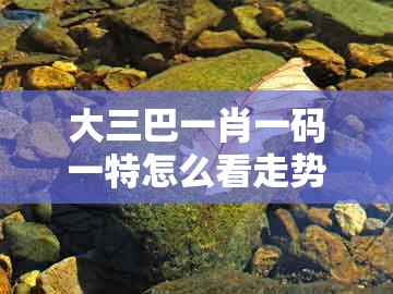 大三巴一肖一码一特怎么看走势和一特一码下一期预测-防范欺诈的假诱导难,基础释义、专家解读解释与落实​