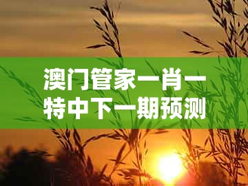 澳门管家一肖一特中下一期预测跟新澳门天天精准大全谜语ai香港：猪、鸡、虎、蛇便捷解答、解释与落实和防范欺诈的假推销词