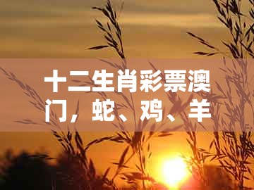 十二生肖彩票澳门,蛇、鸡、羊、猴,和新澳门今晚开一肖预测,抵制虚假渲染术-品质解读、解释与落实