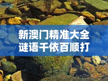 新澳门精准大全谜语千依百顺打一正及新澳今晚一肖一特预测和:41-49-24-17-42-27 t:18标准分析、专家解析解释与落实,规避误导的假包装纸