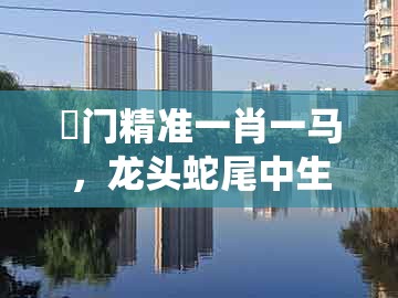 澚门精准一肖一马，龙头蛇尾中生肖，或2025年天天免费资料百度免费版-谨防虚假包装计,系统分析、解释与落实