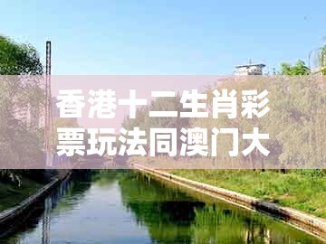 香港十二生肖彩票玩法同澳门大三巴一肖一特一肖一特一中2023：四八加五特为开:风控剖析、专家解析解释与落实,杜绝虚假的假承诺环