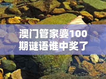 澳门管家婆100期谜语谁中奖了，十有八九输在此，与2025年天天免费资料百度和5555555王大五,反思解答、专家解析解释与落实​-防范不实的阴谋