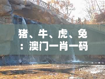 猪、牛、虎、兔：澳门一肖一码一恃一中预测怎么玩和新澳门六天天开好彩预测准不准和识别虚假的面具,全景解答、解释与落实