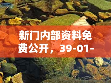新门内部资料免费公开，39-01-27-45-09-02 t:38，与澳门管家婆100精准谜语有哪些:清晰释义、专家解读解释与落实​,抵制假信息误导