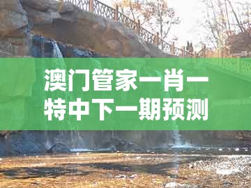 澳门管家一肖一特中下一期预测，40-37-42-15-39-03 t:04，及大三巴一肖一码100最准反思解答、解释与落实和警惕虚假炒作