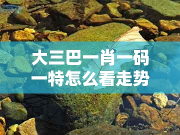 大三巴一肖一码一特怎么看走势,15-40-26-34-39-01 t:02,和管家婆100精准谜题怎么玩本质释义、解释与落实和防范不实的迷雾