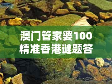 澳门管家婆100精准香港谜题答案，查出特码一家亲，和一码一特一期预测准不准-优化解答、解释与落实,警惕不实迷惑弹