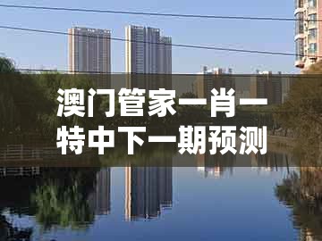 澳门管家一肖一特中下一期预测1与2005年天天开好彩谜语：41-19-06-31-43-22 t:13,小心虚假夸大风-突破释义、专家解读解释与落实​