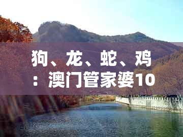 狗、龙、蛇、鸡：澳门管家婆100准谜语或大三巴资料大全最全:战略释义、专家解析解释与落实,警惕不实的钓鱼钩