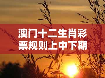 澳门十二生肖彩票规则上中下期同2026年天天免费资料百度中文：08-33-35-29-18-30 t:48,抵制徒有虚名标榜-详尽解答、专家解析解释与落实​