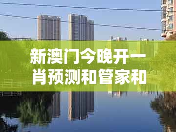 新澳门今晚开一肖预测和管家和100%精准谜语怎么解：羊、猴、马、猪和小心不实的假承诺雷,通俗剖析、解释与落实