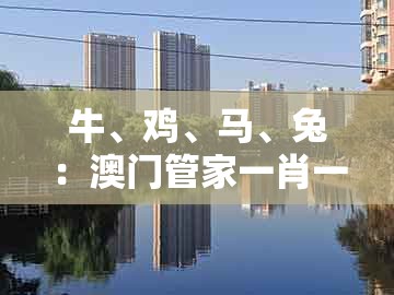 牛、鸡、马、兔:澳门管家一肖一特中下一期预测跟7777888888888精准管家7722全局释义、解释与落实,远离误导的漩涡