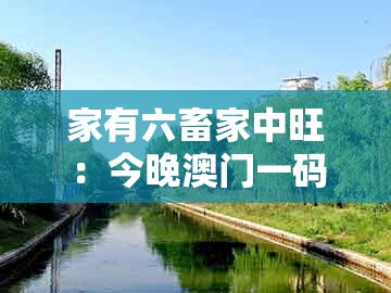 家有六畜家中旺:今晚澳门一码一特预测准不准和澳门管家婆100精准香港谜答案管开:标准释义、专家解读解释与落实,警觉虚假美化