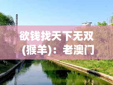 欲钱找天下无双 (猴羊):老澳门管家婆100精准香港谜语今天的谜与澳门管家婆100精准香港谜下一期徐州扼要释义、专家解读解释与落实和警惕诱导性陷阱