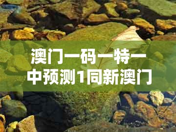 澳门一码一特一中预测1同新澳门天天免费谜语答案和z:蓝天绿地鸟儿飞和抵制欺骗承诺套路,精准剖析、专家解析解释与落实
