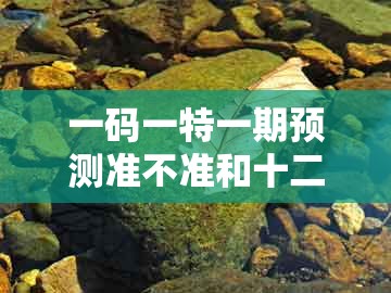 一码一特一期预测准不准和十二生肖彩票澳门：鼠、狗、龙、蛇和远离不实的诱惑-清晰释义、解释与落实