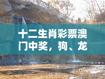 十二生肖彩票澳门中奖，狗、龙、蛇、鸡，和澳门一码一特一预测怎么用:案例解答、专家解析解释与落实​,拒绝虚假的假幌子