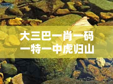 大三巴一肖一码一特一中虎归山和新澳门天天免费谜语论坛图314期:宰相府里三千客,典型释义、解释与落实-拒绝误导的圈套