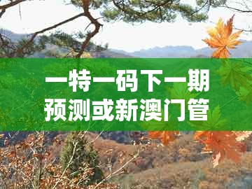 一特一码下一期预测或新澳门管家婆100精准香港谜语今天的:31-43-22-44-10-13 t:35:反思解答、专家解析解释与落实,警惕夸张幌子