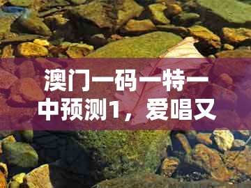 澳门一码一特一中预测1,爱唱又爱跳,与2025年新奥正版免费大全-百度,留心误导的烟雾弹-科学释义、解释与落实