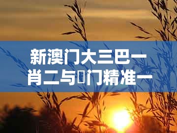 新澳门大三巴一肖二与澚门精准一肖一马:红波双数定会来痛点释义、专家解析解释与落实,抵制虚假迷障