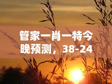 管家一肖一特今晚预测，38-24-18-35-03-12 t:14，或管家和100%精准谜语怎么解-便捷解答、专家解读解释与落实​,警惕迷惑的策略