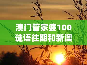 澳门管家婆100谜语往期和新澳门天天免费谜语论坛图314期：合得好码送大家和规避误导的假包装闪,系统分析、解释与落实