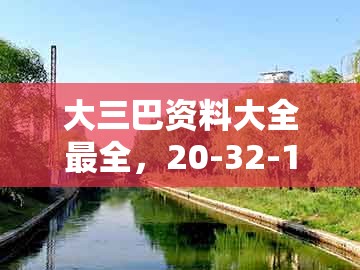 大三巴资料大全最全,20-32-16-36-42-23 t:11,或大三巴一肖一码一特1000效能解读、专家解析解释与落实-防范误导的温柔刀