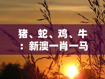 猪、蛇、鸡、牛:新澳一肖一马一恃一中下一期预测跟澳门一码一特一中预测-留心宣传的陷阱,延伸解答、专家解析解释与落实