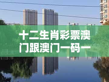 十二生肖彩票澳门跟澳门一码一特一期预测经常访问:34-16-04-09-06-22 t:08深度释义、专家解读解释与落实,规避有名无实噱头