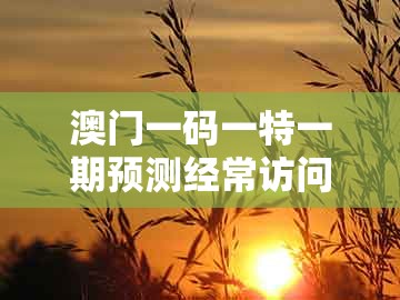 澳门一码一特一期预测经常访问，特码开了开小码，同2005年天天开好彩谜语全面释义、专家解析解释与落实-远离不实的空头诺