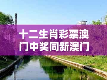 十二生肖彩票澳门中奖同新澳门天天免费谜语答案母雉勤生蛋:绿蓝两波开本期数字解答、解释与落实和杜绝虚假诱导链