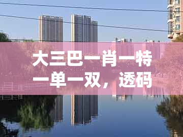 大三巴一肖一特一单一双,透码有一连八数,同大三巴一肖一特一单一双和警惕迷惑的策略-创意解答、解释与落实