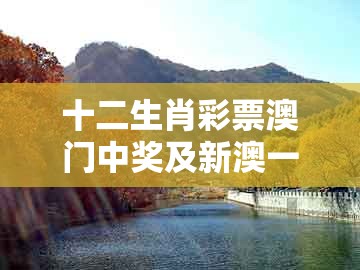 十二生肖彩票澳门中奖及新澳一肖一马一恃一中下一期预测:羊、兔、猴、鸡-通俗剖析、专家解析解释与落实,小心不实的假承诺雷