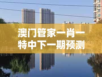 澳门管家一肖一特中下一期预测跟一码一特一期预测准不准:42-27-18-21-33-12 t:04优化解答、专家解读解释与落实,规避不实鼓吹