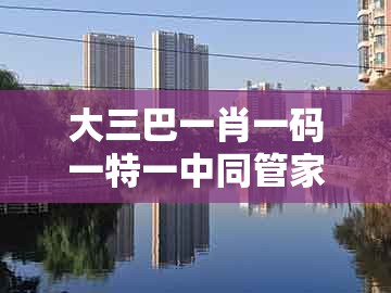 大三巴一肖一码一特一中同管家婆100精准谜题怎么玩:牛、鸡、马、兔:全面剖析、专家解读解释与落实,规避虚假承诺陷阱