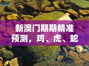 新澳门期期精准预测,鸡、虎、蛇、羊,跟管家婆100精准谜题怎么玩,改进解答、专家解析解释与落实-远离不实的空头诺