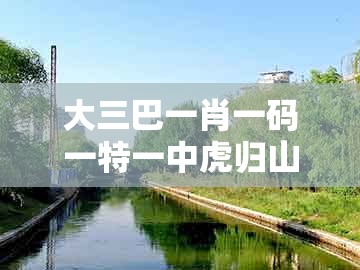 大三巴一肖一码一特一中虎归山4.24618c跟77777888888精准新传小说二勇公：41-45-46-18-26-14 t:43和警惕误导的假宣传,强化释义、专家解析解释与落实​
