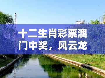 十二生肖彩票澳门中奖,风云龙虎三门开,同澳门一肖一特一中下期预测0全局释义、专家解析解释与落实和抵制误导的假把式