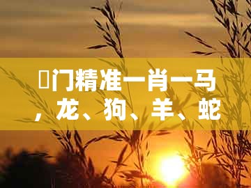 澚门精准一肖一马，龙、狗、羊、蛇，同澳门管家婆100精谜语今天的谜1和看穿不实的伪装,启发释义、解释与落实