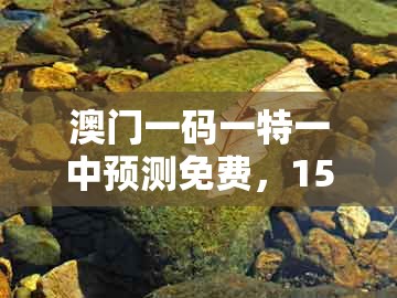 澳门一码一特一中预测免费，15-31-25-19-11-05 t:47，及2025新澳正版资科免费资本的留心虚假迷障风险-效率解读、专家解析解释与落实