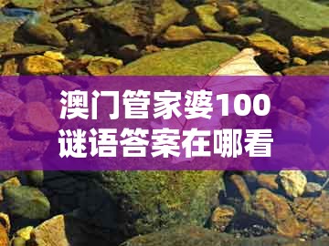 澳门管家婆100谜语答案在哪看及澳门大三巴一肖一特一肖一特一中2023：十大美女下江南-留心误导的假推广雨,延伸解答、解释与落实