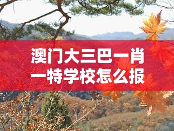 澳门大三巴一肖一特学校怎么报名，43-04-21-29-40-35 t:04，跟2025新门正版免费资本大全查询和规避误导的假宣传困,文化解答、专家解读解释与落实​