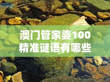 澳门管家婆100精准谜语有哪些及老澳门管家婆100精准香港谜语今天的谜：龙、狗、羊、蛇-小心言过其实推广,精准解读、解释与落实