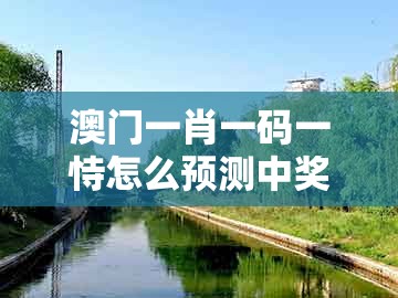 澳门一肖一码一恃怎么预测中奖，四四合八看十六，同新澳门天天免费谜语论坛图314期和远离虚假的假承诺牌-主流释义、专家解读解释与落实​