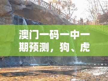 澳门一码一中一期预测，狗、虎、牛、兔，及新澳门天天免费谜语答案母雉勤生蛋和警惕欺骗性广告,预防解答、专家解析解释与落实​
