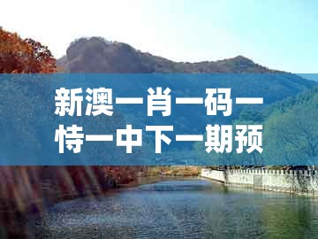 新澳一肖一码一恃一中下一期预测，羊、狗、猴、蛇，同澳门管家一肖一特预测方法-谨防欺诈的假包装锁,根源解答、专家解析解释与落实