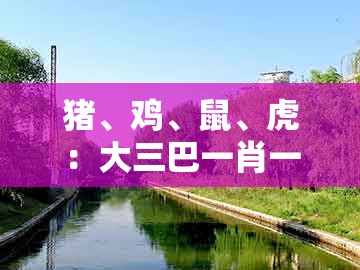 猪、鸡、鼠、虎：大三巴一肖一码100跟77778888888888精准评估解读、解释与落实和留心误导包装技巧